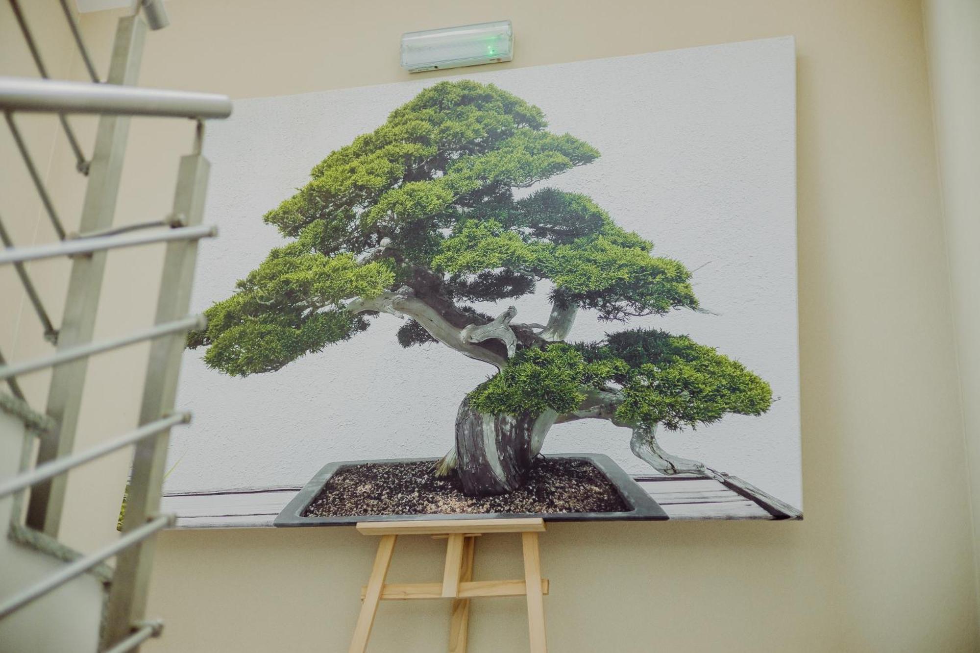 Hotel Bonsai Niemcza Exterior photo